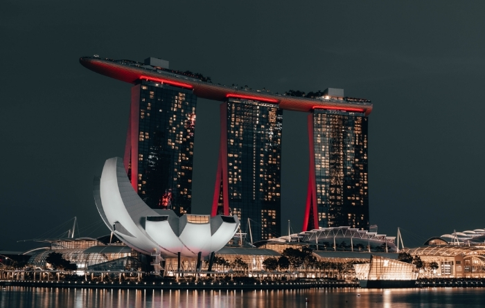 Live and Work as a VIP in Singapore - Personalized Employment Pass